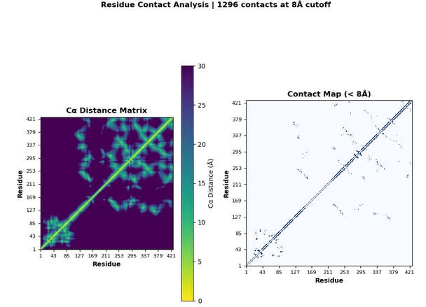 C&alpha; Distance Matrix & Contact Map