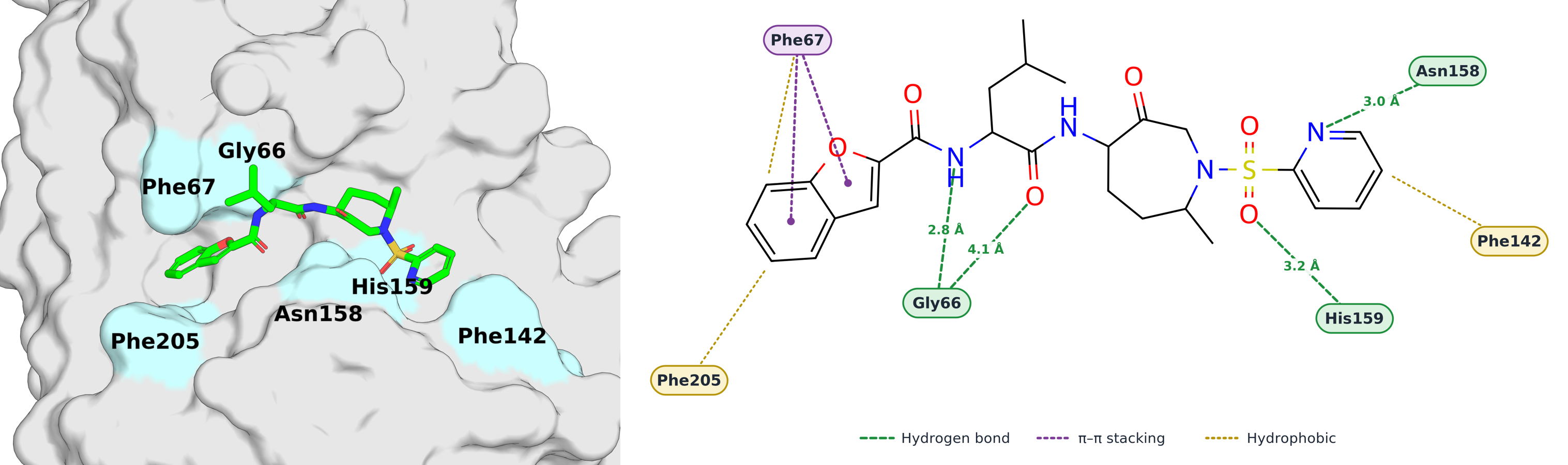 Binding pocket and 2D interaction diagram of a docked ligand