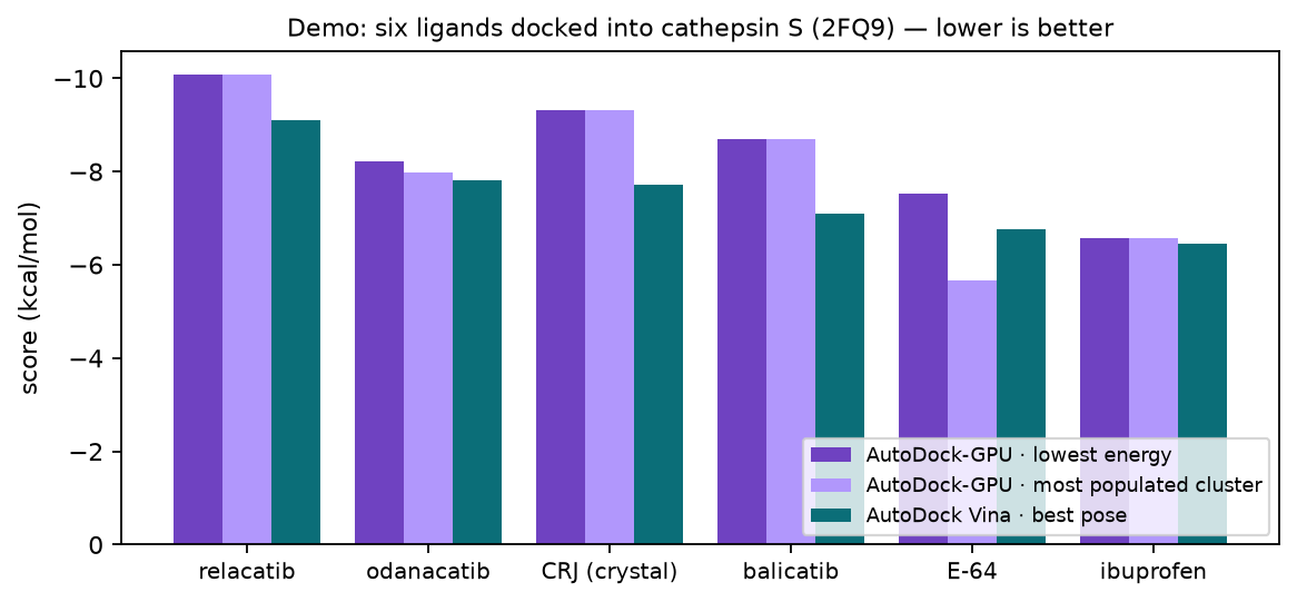 Docking scores of six ligands with two engines